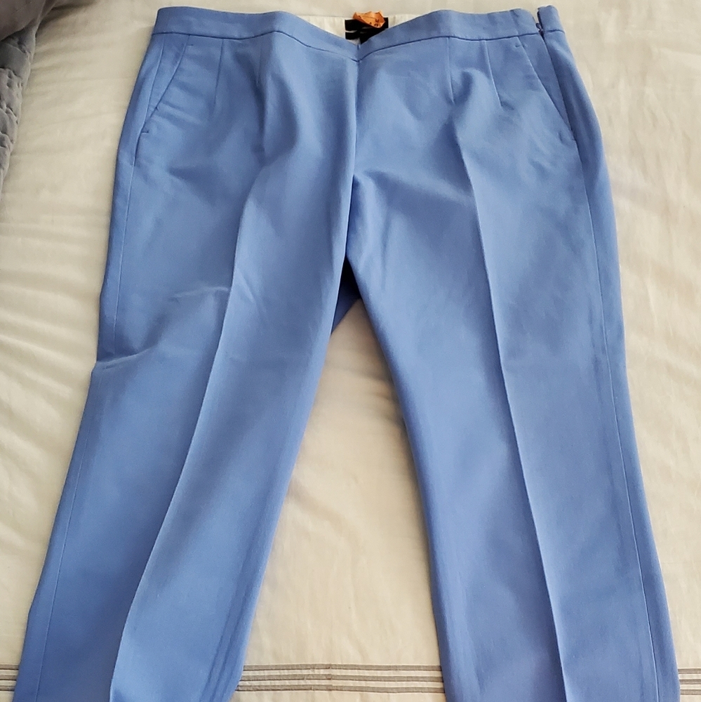 Light Blue Ankle Pants